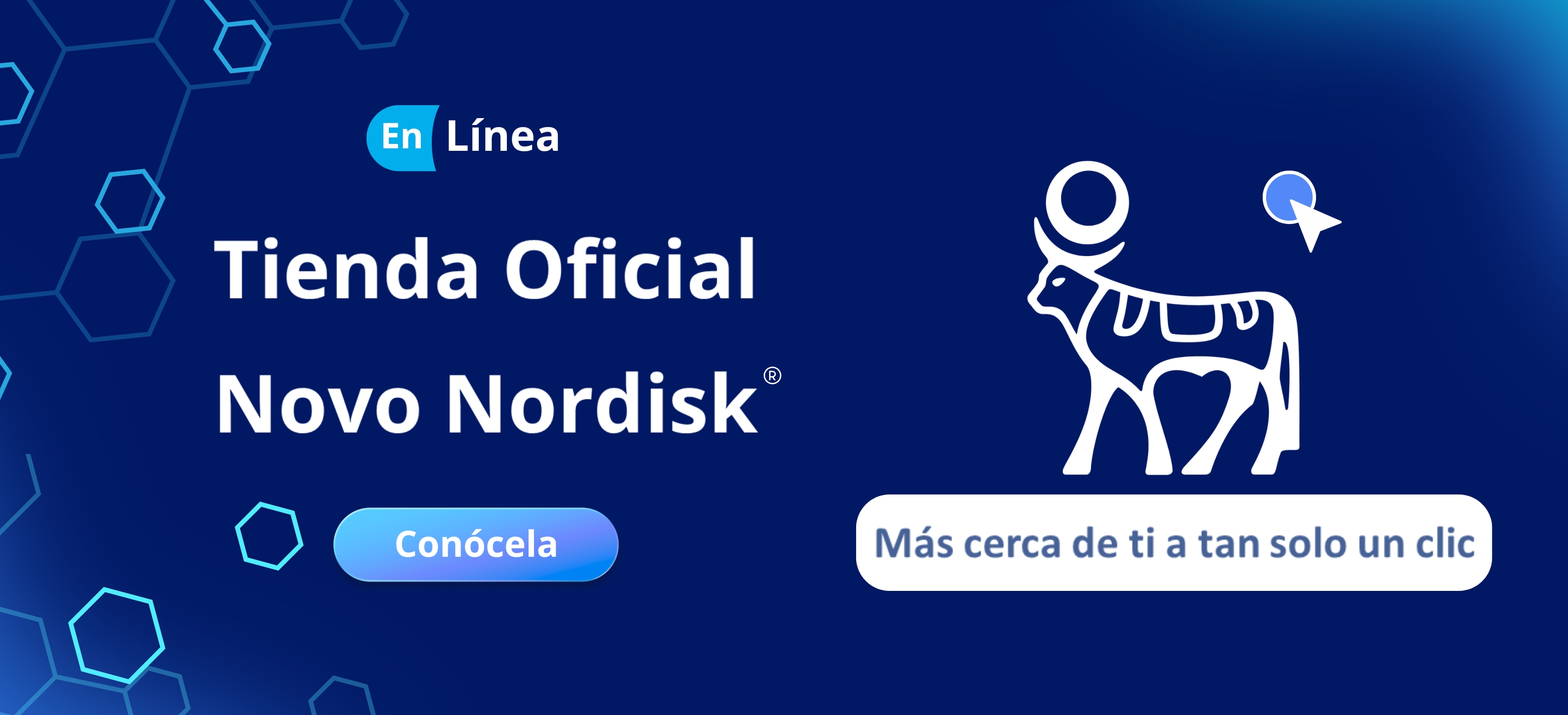 Banner HCP Portal 3174 X 1446 - 1